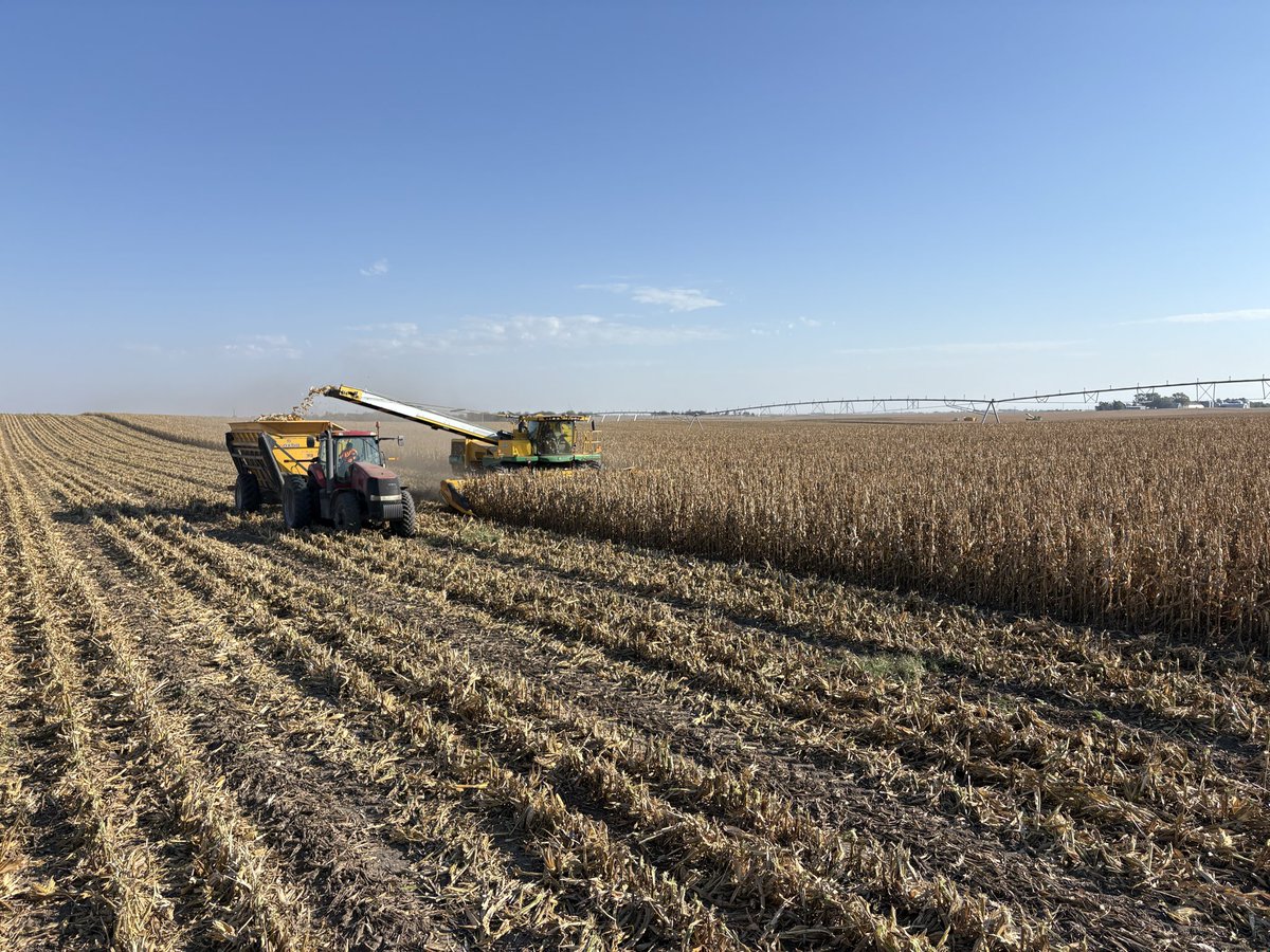 Eric M. Kamler tweet media