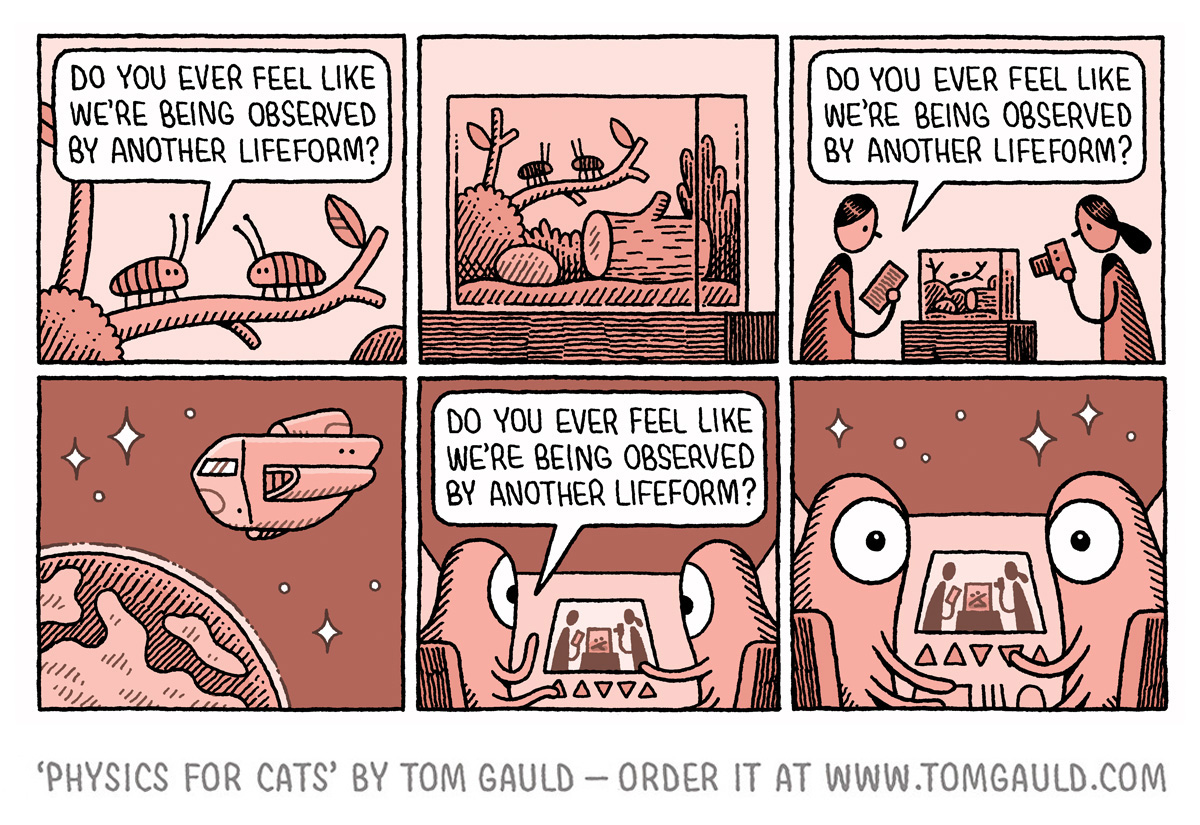 tomgauld's tweet image. One of the cartoons in my new book 'Physics for Cats' which is out now in the UK, USA, Canada, France and Germany. Order from your local bookshops or online: tomgauld.com