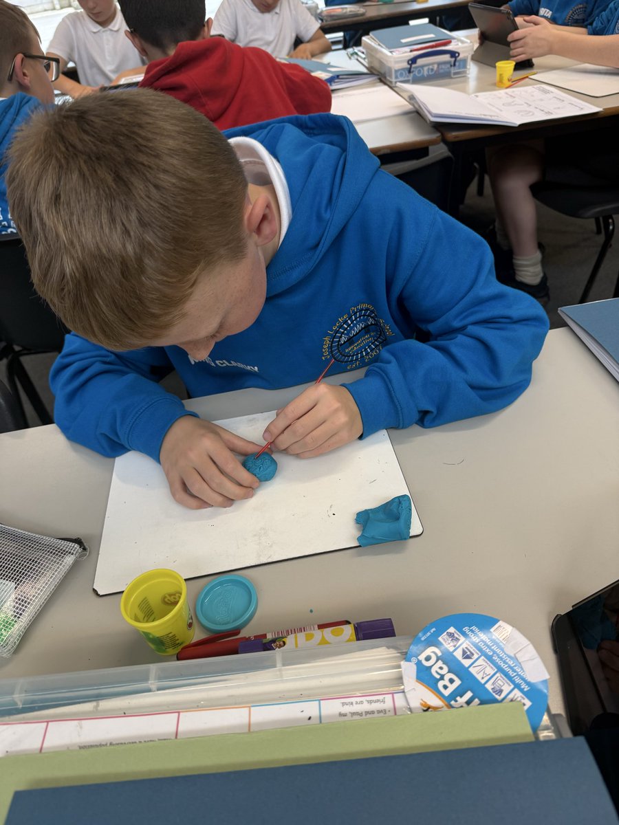 In science this afternoon we are exploring the characteristics of invertebrates. We are using playdoh to make a model that we are going to label. 🪱🪼