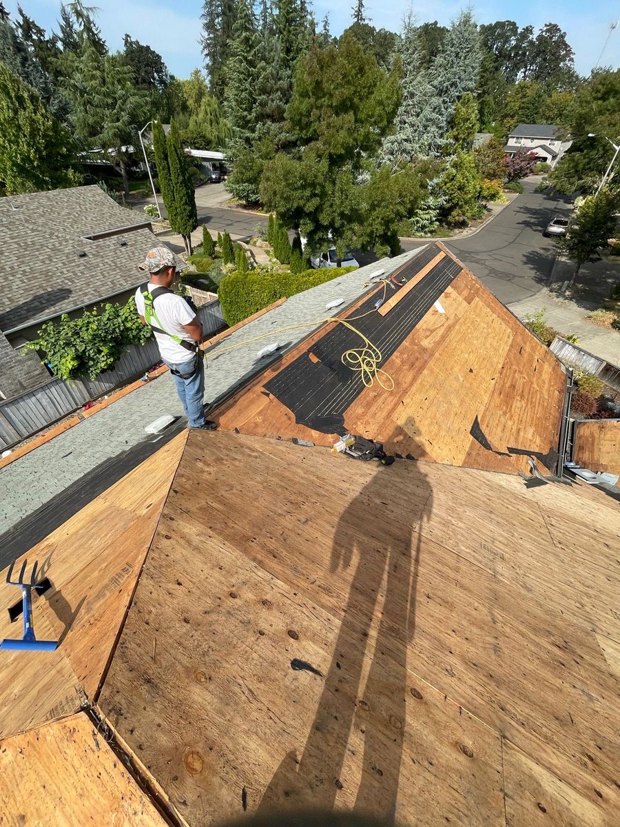 thugghinx's tweet image. Roofing