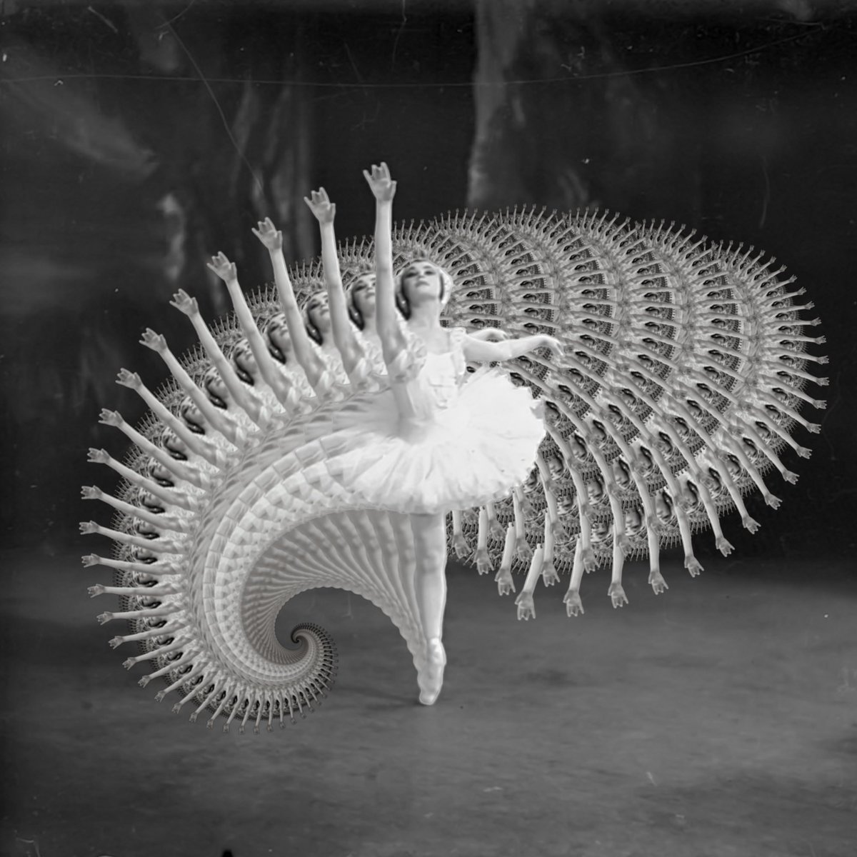 #FractalFriday