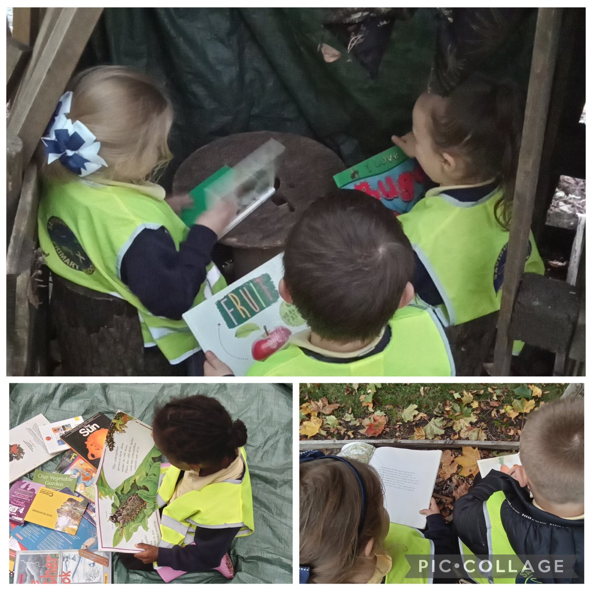 Saviour Primary School tweet media