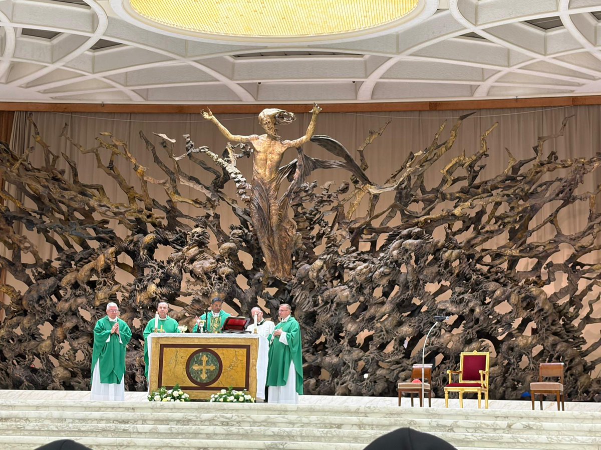 ISAlianzaJM's tweet photo. Jubileo de la Vida Consagrada
Seguimos profundizando en la ESPERANZA.
Eucaristía, danza, ponencia del P. Giacomo Costa SJ y encuentro con el Papa León XIV.
Vivimos un sueño universal de belleza, compromiso y unidad.
¡Os tenemos muy presentes!
#añojubilar2025 #cedis #cofer #cmis https://t.co/drZY07Awfv