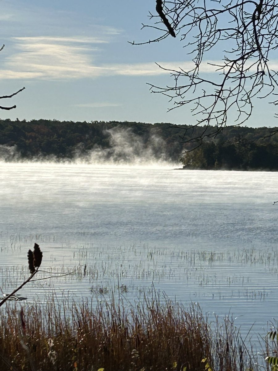 Martin Harry tweet media