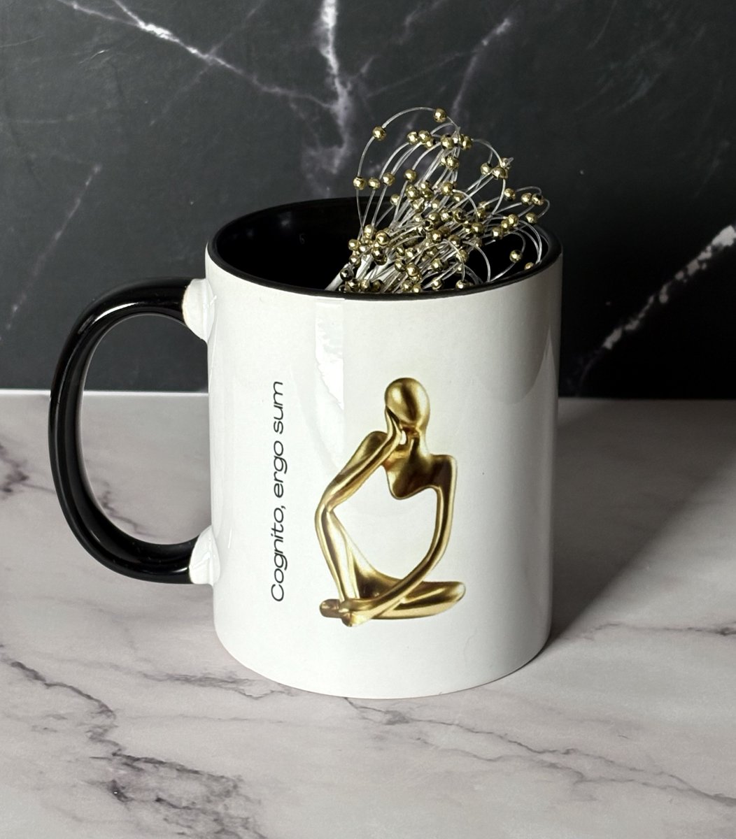 whiterabbitmugs's tweet image. The mug for independent thinkers. &quot;I think, therefore I am.&quot; Descartes&apos; famous quote. He transformed math. What are YOU capable of doing? Grab this mug at WhiteRabbitMugs.com