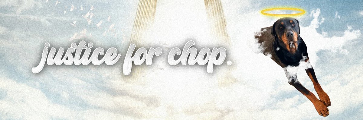 JusticeForChop tweet picture