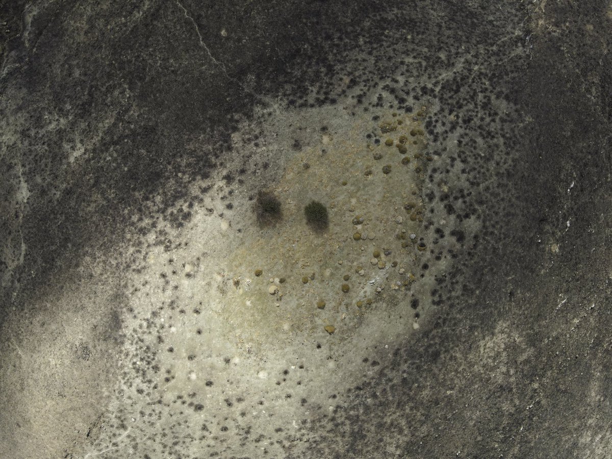 tonydeli7's tweet image. Only two

📷: DJI Mavic Air 2
🧑‍💻: Lightroom

Explore my work at: 
antonisdeligiannis.com

#mavicair #djimavic  #dronephotography #mavicair2 #dji #djiphotography #photonetmagazine #aerial #midilli #eresos #abstract