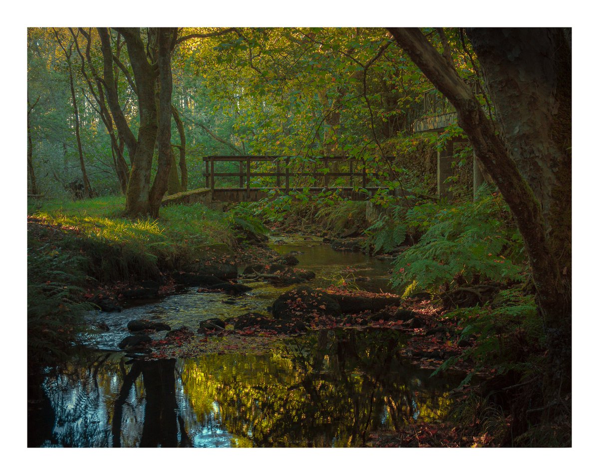 Pedra Vixia. Si tuviera que elegir una palabra para describir este lugar, sería “místico”.

Serie 1/3

#canon #fotografía #Galicia