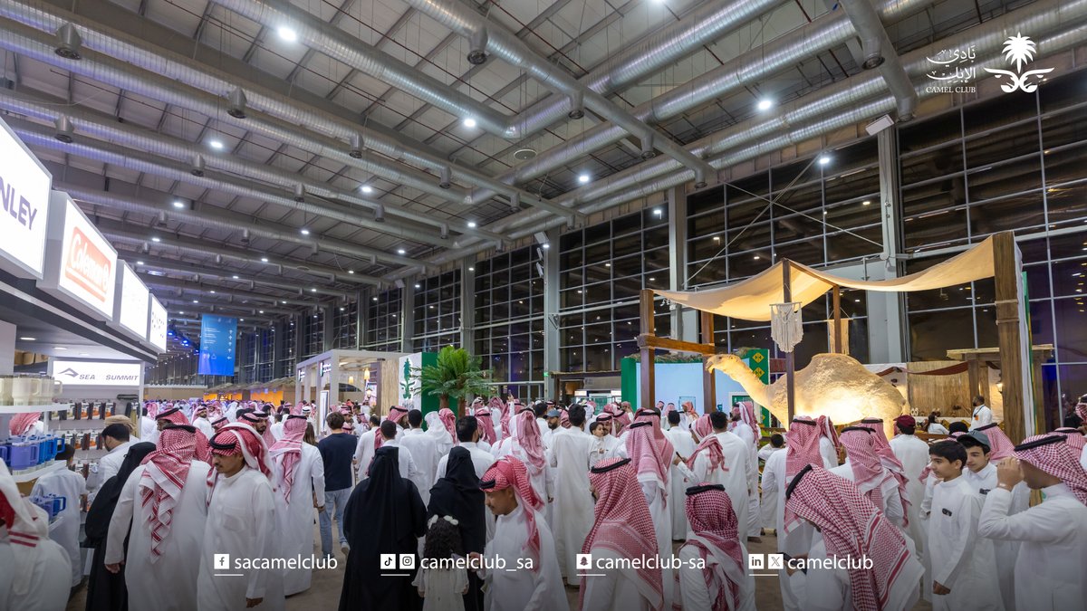 CamelClub's tweet photo. 📸| حضور يتأمل.. وتفاصيل تبهر الأنظار ✨

#معرض_الصقور_والصيد_السعودي_الدولي
#نادي_الإبل https://t.co/tfmjAyPgMi