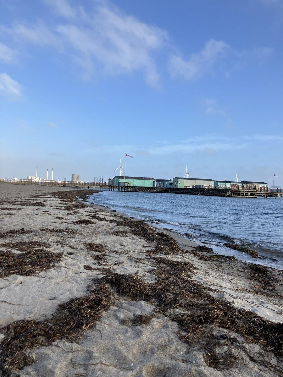 Simon Redfern 🇺🇦 tweet media