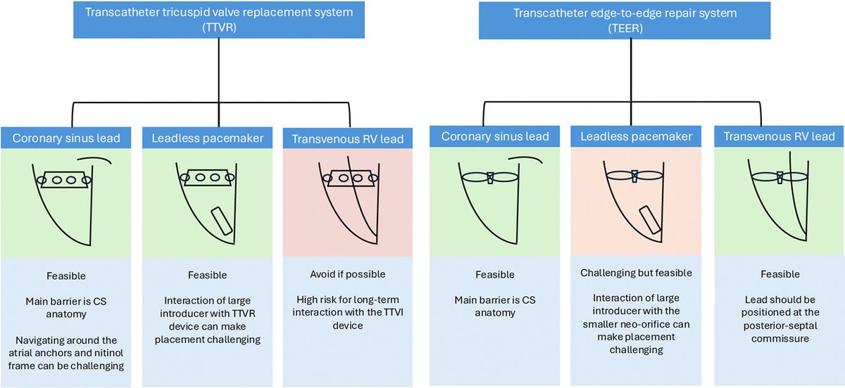 hrs_journal's tweet photo. Alternative Pacing Strategies Following Transcatheter Tricuspid Valve Interventions: Procedural Challenges and Lessons Learned

@EmilyTatMD @ColumbiaCardio 

https://t.co/jZYRCzkGZO https://t.co/IbIwCTyz6I