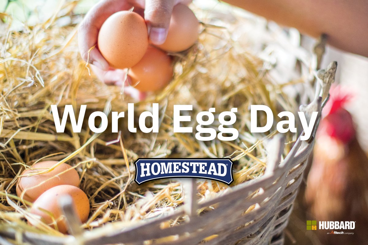 🥚 It’s World Egg Day — and we want to see your freshest finds! 🧺🐓

Drop a photo of your backyard egg collection in the comments 👇

🌟Bonus if your hens are powered by Homestead Poultry Feeds!

#WorldEggDay #EggSelfie #LifesBetterOnHomestead #BackyardPoultry #HubbardFeeds