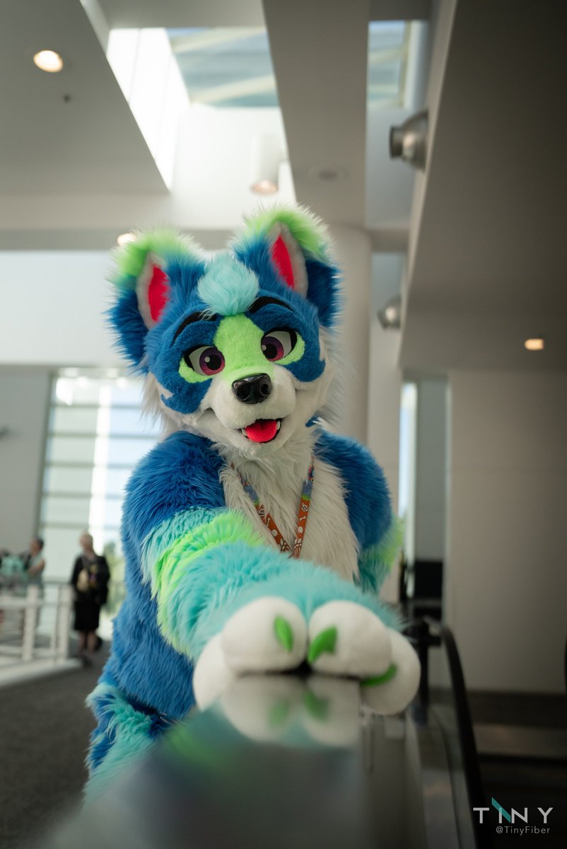 Accused of being too adorable! 😊💖 

#FursuitFriday 
📸 <a href="/TinyFiber/">Tiny</a>