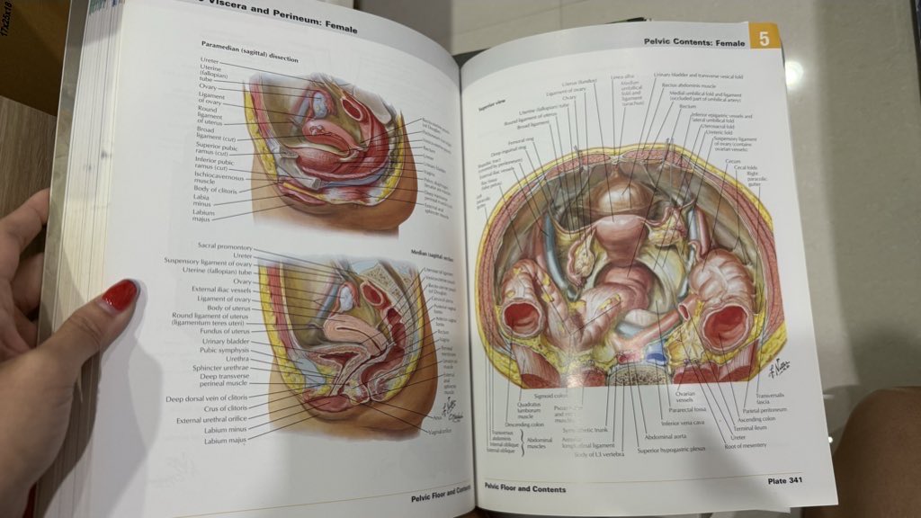 _juniper27's tweet photo. #ส่งต่อ หนังสือกายวิภาคศาสตร์ Atlas of Human Anatomy 6th edition มือ2 
💰700 รวมส่งค่ะ 

ไม่มีรอยขีดเขียน มีตำหนิตามรูปค่ะ

หรือนัดรับสยาม สามย่าน เดอะมอลล์งาม รพ.พระนั่งเกล้า เหลือ 650

ทักมาขอดูรูปเพิ่มเติมได้ค่ะ

#หนังสือมือสอง #ตำราแพทย์ #หนังสือมือสองสภาพดี #เตรียมสอบแพทย์ https://t.co/laoly6uiji