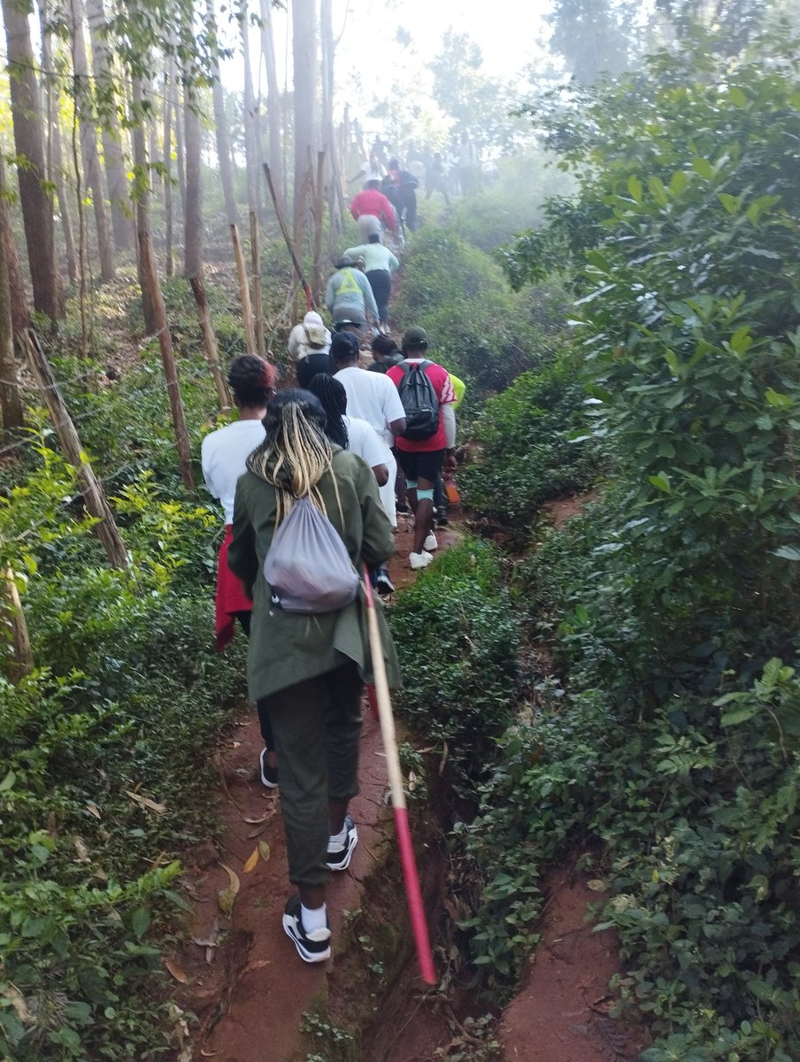 URisekenya's tweet photo. Today on #MazingiraDay, U-Rise joined the Kisii Walk &amp; Run Club for a meaningful walk from Naivas Hyper Mall to Manga Hills 🌍🚶🏽‍♂️

We ended the day by planting trees at St. Joseph School — steps toward stigma free&amp;healthier future.🌱💚
@IBESocialMedia
@IlaeWeb
#epilepsyawareness https://t.co/i3v1lR0GEV