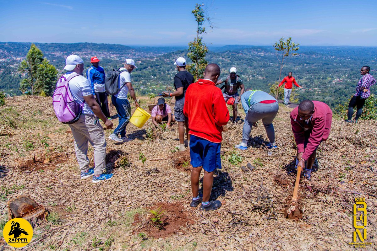 URisekenya's tweet photo. Today on #MazingiraDay, U-Rise joined the Kisii Walk &amp; Run Club for a meaningful walk from Naivas Hyper Mall to Manga Hills 🌍🚶🏽‍♂️

We ended the day by planting trees at St. Joseph School — steps toward stigma free&amp;healthier future.🌱💚
@IBESocialMedia
@IlaeWeb
#epilepsyawareness https://t.co/i3v1lR0GEV