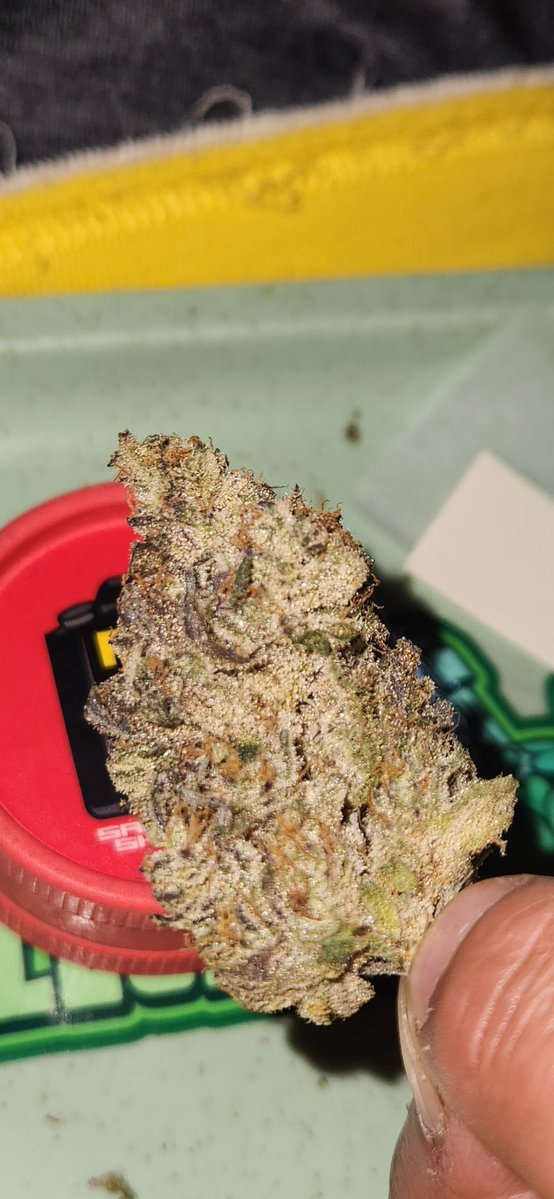 Elephant_Xpress's tweet image. 🔥🔥

Nomás me falta irme a la presa,  acostarme en el pasto y tomarme una chelita