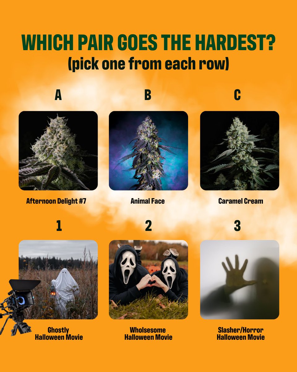 🎥🍿Which pair are you going for this spooky season?!