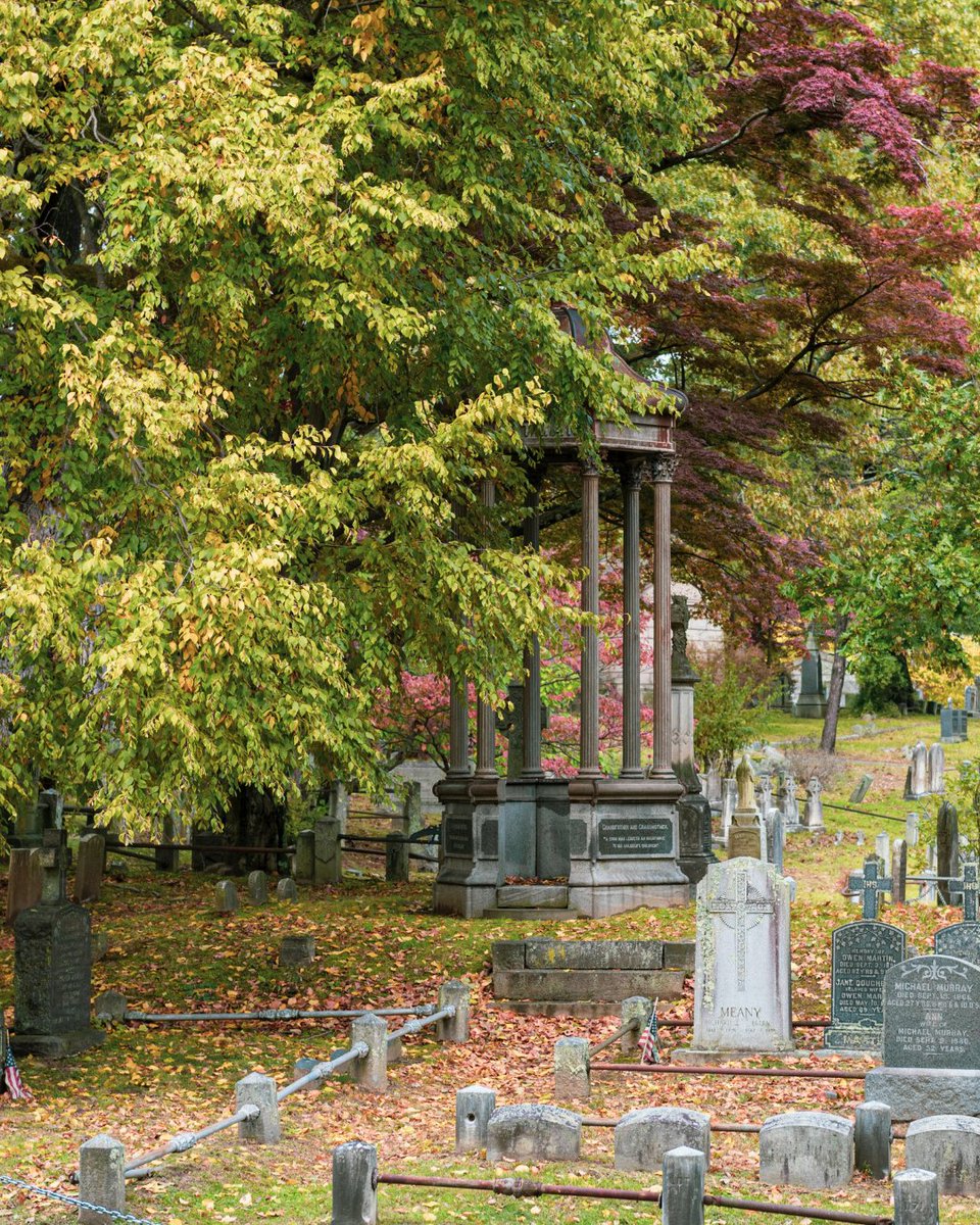 Heymondo_en's tweet image. 📍 Sleepy Hollow, USA
👻 Did you know Sleepy Hollow is just a 40-minute train ride from New York City? The village of the Headless Horseman is the perfect Halloween day trip 🎃

#USA #funfacts #timburton