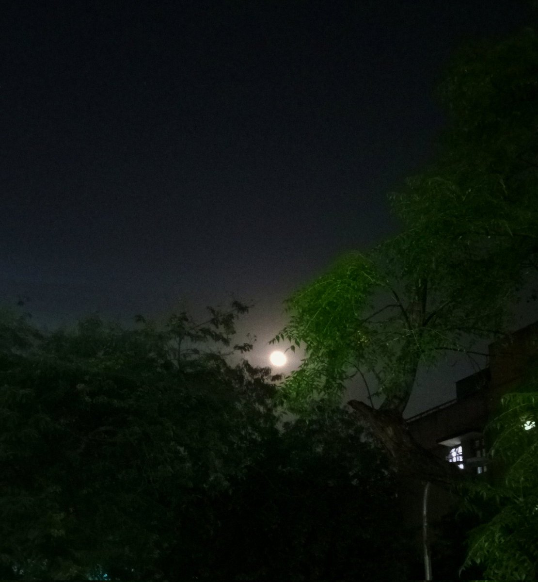 writeratheartck's tweet image. #moon 🌙