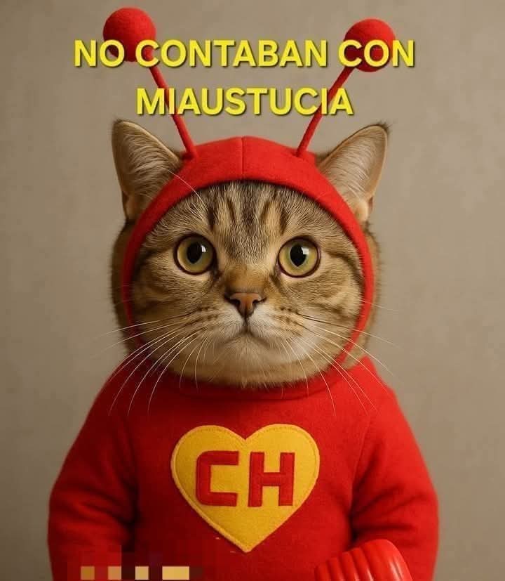sanketon2's tweet photo. Chapulín https://t.co/JElakRr4um