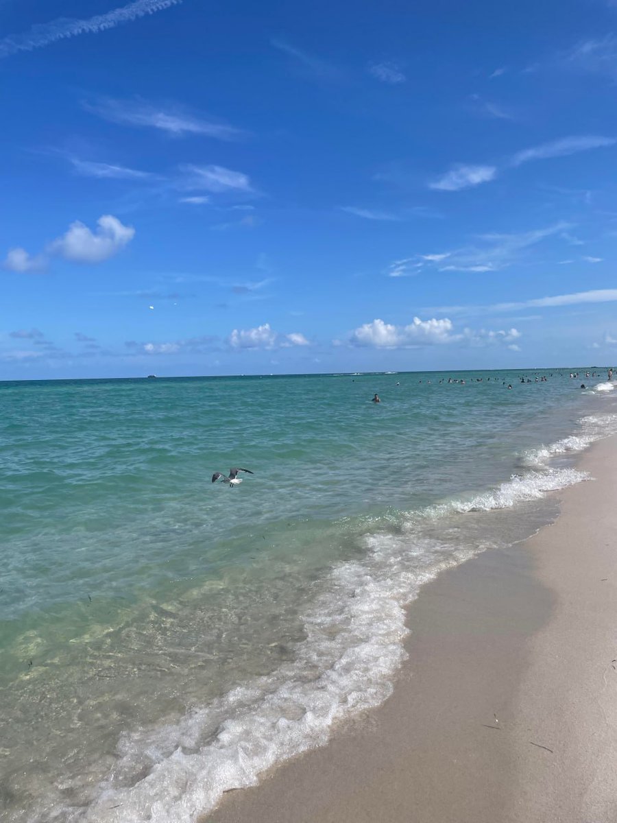 Claire2354svn0's tweet image. The picture you shared looks like a beautiful beach scene! The clear blue water, sandy shoreline, and the bird flying over the waves make it feel peaceful and refreshing. It’s a great spot for a relaxing day!