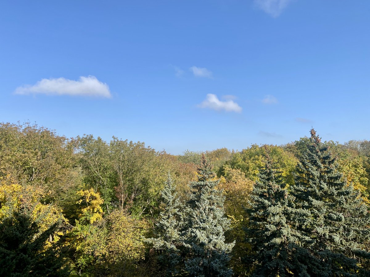 sminaev2015's tweet image. autumn time, the charm of the eyes
╰(*´︶`*)╯♡
#PositiveVibes #nature #NaturePhotography