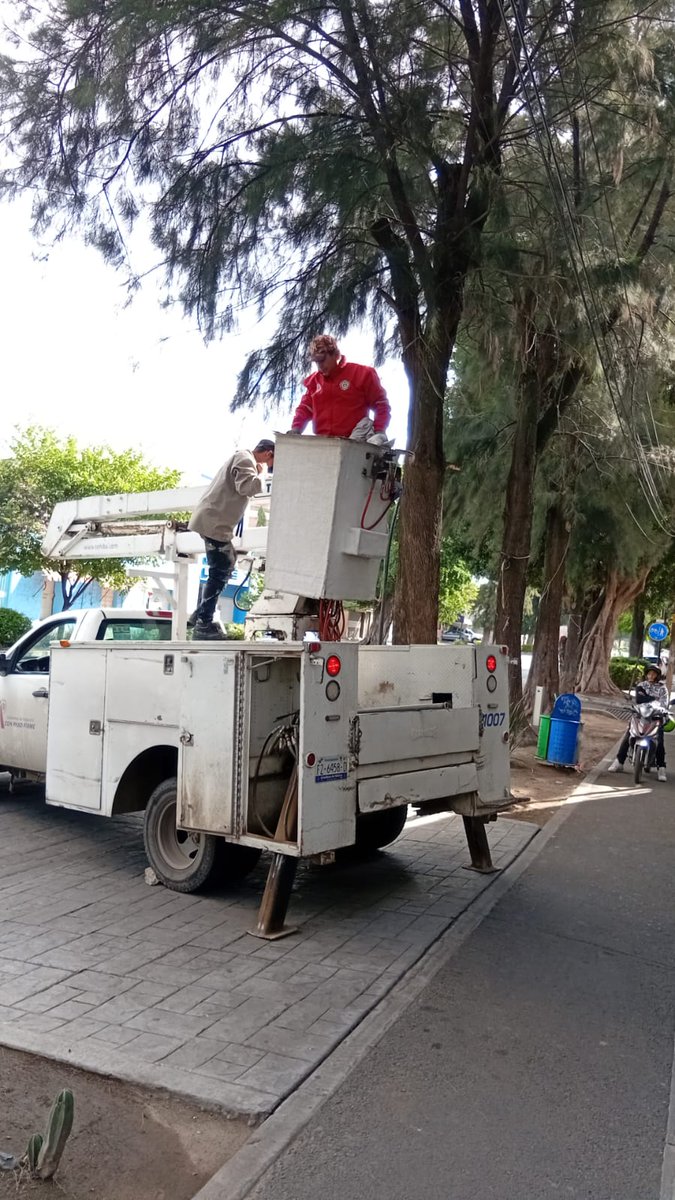 IrapuatoPCyBom's tweet photo. #PCInforma 👩‍🚒 | Integrantes de Protección Civil y Bomberos de la @segpublicaira rescataron a un gatito atrapado en un árbol 🐱 en la Calz. Guadalupe. 

🚒 Con apoyo de Alumbrado Público y la colaboración ciudadana, la mascota sana y salva ya se encuentra con su dueña. 
#Irapuato https://t.co/c6AqjMqlz5