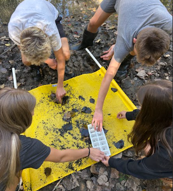 awgenerals's tweet photo. This week, @anthonywayneffa students collected and analyzed water quality samples to compare the data to the previous year to monitor trends and changes. 

See what they learned about the overall health of the stream: https://t.co/oi0t1oetdc

📝+📸 by Bianca Nagel &amp; Dalia Shordt https://t.co/LdQe3tyzl0