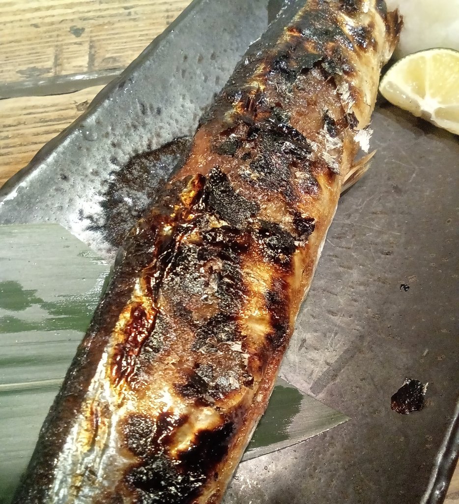 rubysnapper75's tweet image. 横浜西口の今村商店へ⭐
宮城県産秋刀魚の塩焼きです😋💘💘💘💘⭐🎉
先ずは腹から🎉🎉
サンマには胃が無くて、腸も短い🎉🎉
#今村商店　#居酒屋#サンマ#秋刀魚#さんまの塩焼き#横浜西口#南幸#横浜グルメ　#横浜グルメ
