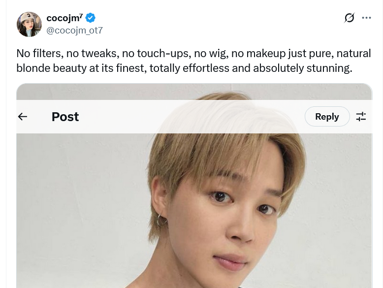 knowellex's tweet photo. @Versace
@Dior
@PopCrave  @PopBase @MTV  @iHeartRadio  Maybe double-check your facts next time before making such... creative claims. And yeah, his hair color and nationality? Totally mismatched like trying to fit a square peg in a round hole."  DRAG QUEENS KPOP IDOLS https://t.co/ixzVN80N1I