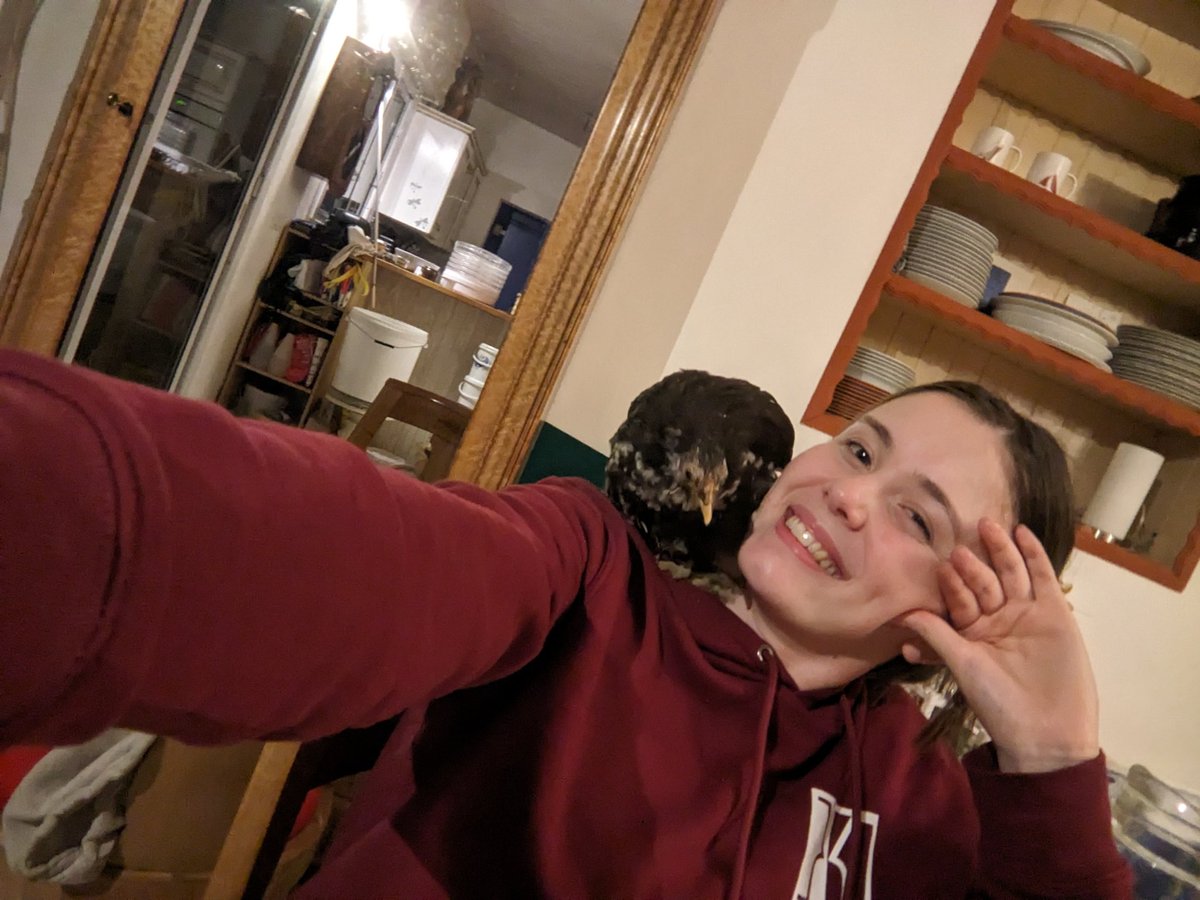 cotcot_codec's tweet image. Des souvenirs d'il y a 10 ans, quand ma poulette faisait la même chose 🥹