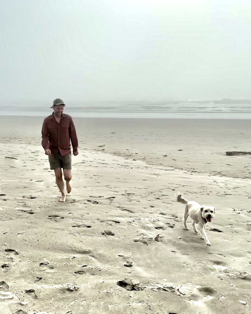 Blind Pilot tweet media