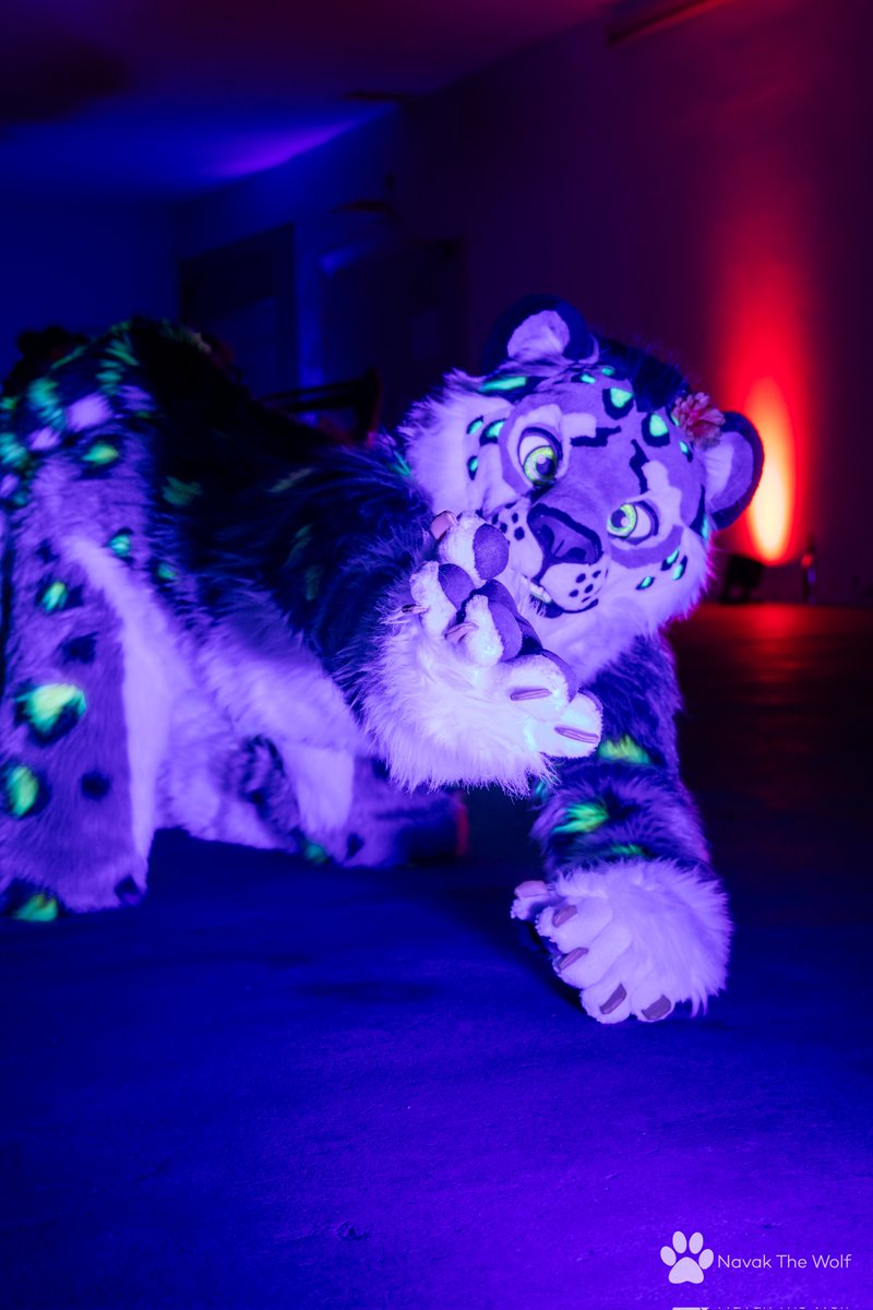 Come visit my twitch channel bhlp.tv the snep us streaming WoT right now
#FursuitFriday #FursuitEveryday #snep #streamer #fursuits #fursuiter