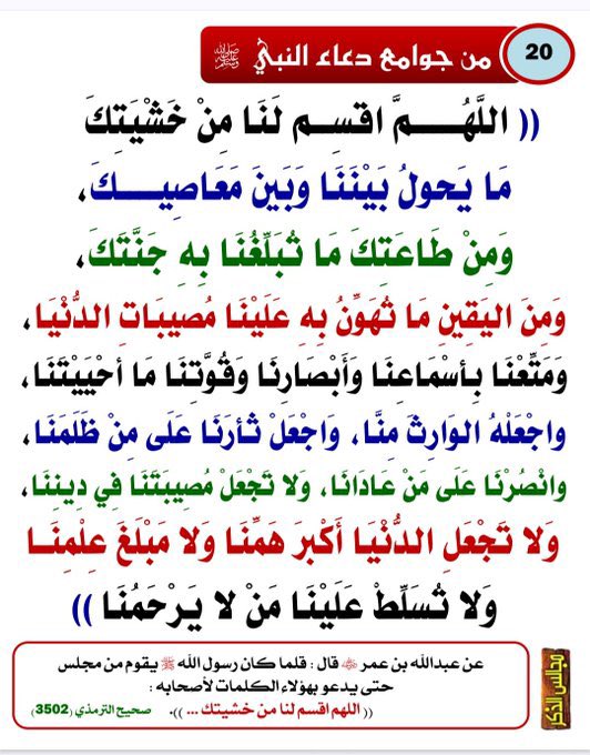 المصحف | فيديو (@quran__video) on Twitter photo 