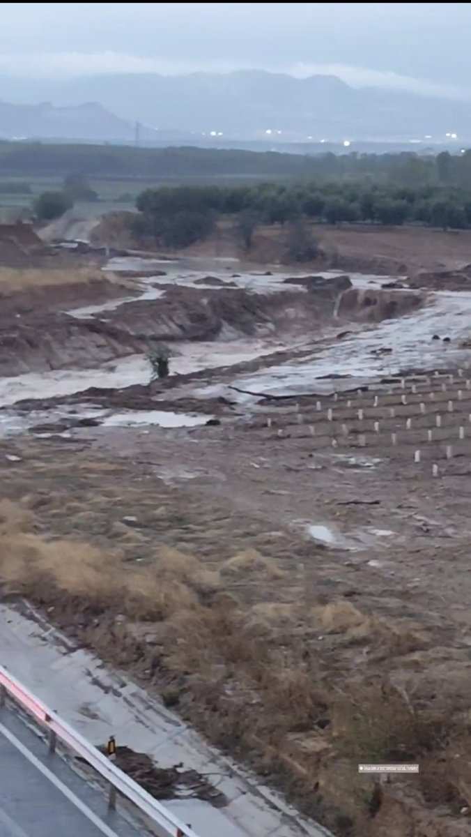 Asvogra's tweet photo. @E112Andalucia @InformacionDGT ❗️Atención y Precaución ⚠️ ❗️Cortada la #A92 dirección Almería entre #Moraleda y #Lachar , operativos trabajando en la zona , dejen carril central libre para desplazamiento vehículos de emergencia 🚨 y sigan indicaciones de @E112Andalucia y @guardiacivil
#DanaAlice https://t.co/VKV6dbPV1A