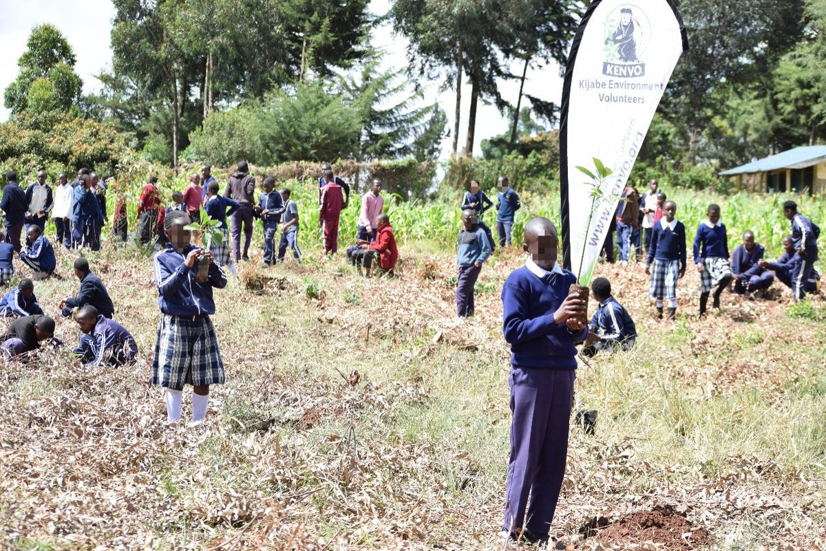 Kijabe Environmental Volunteers tweet media