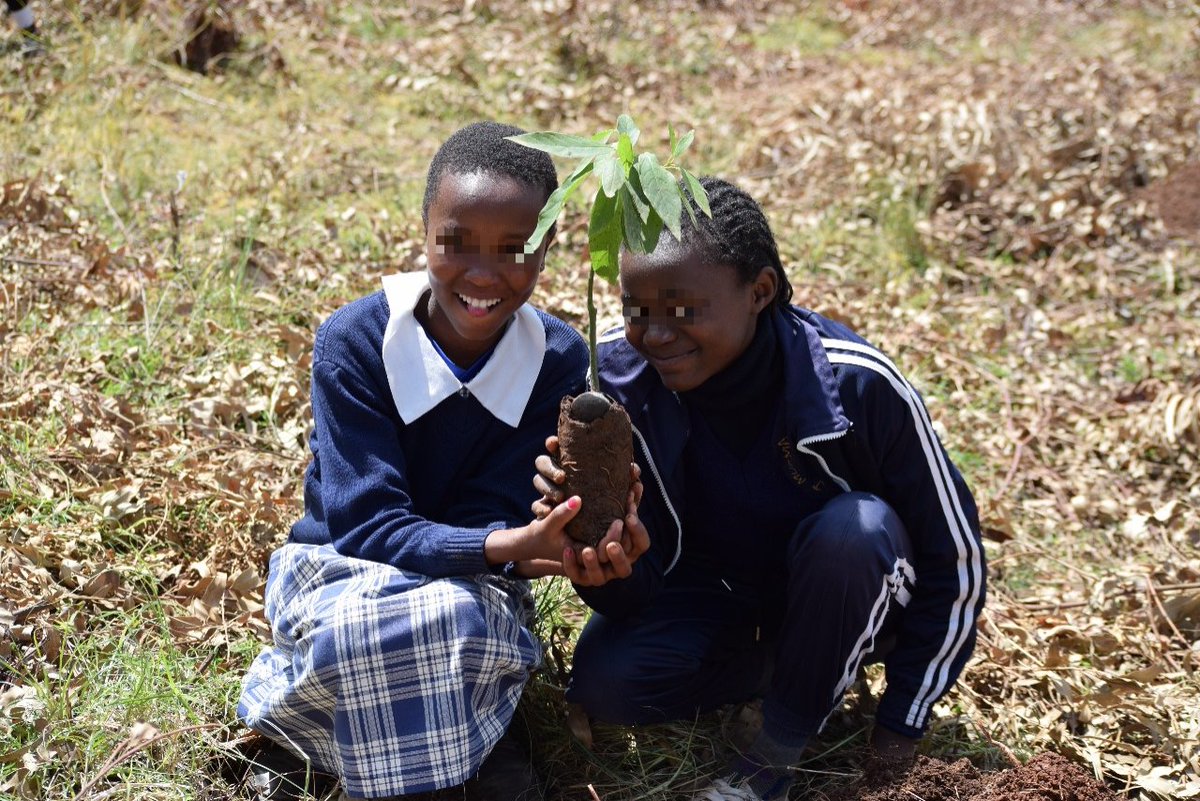 Kijabe Environmental Volunteers tweet media