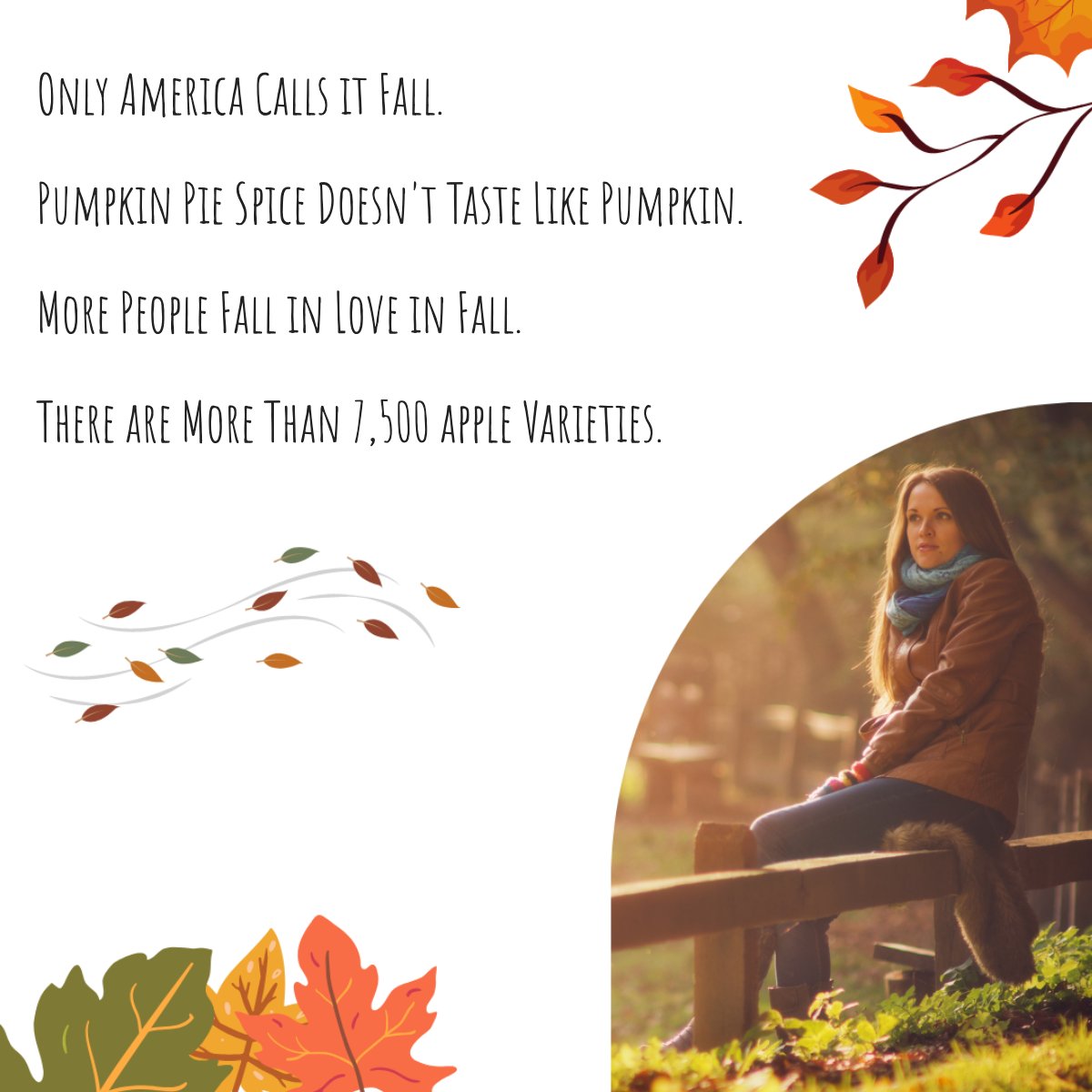 MartinChettle's tweet photo. Did you know these fall facts? 🍁

Drop a comment below! 🔽

#fallseason #pumpkinspice #fallfeels #fallvibes #autumn #autumnvibes #fallaesthetic https://t.co/Qu5PP91y0E