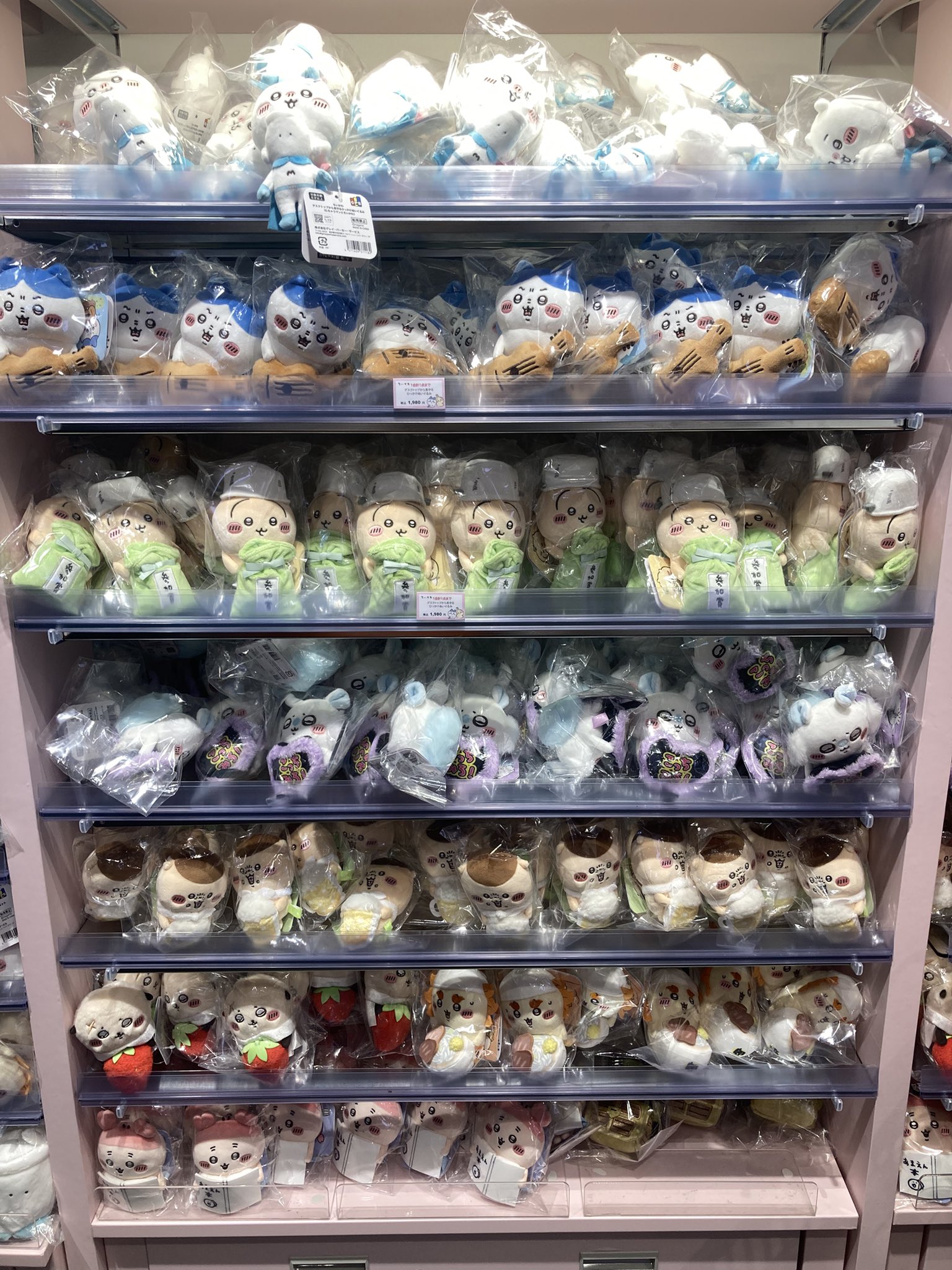 PpPe - البحث / X