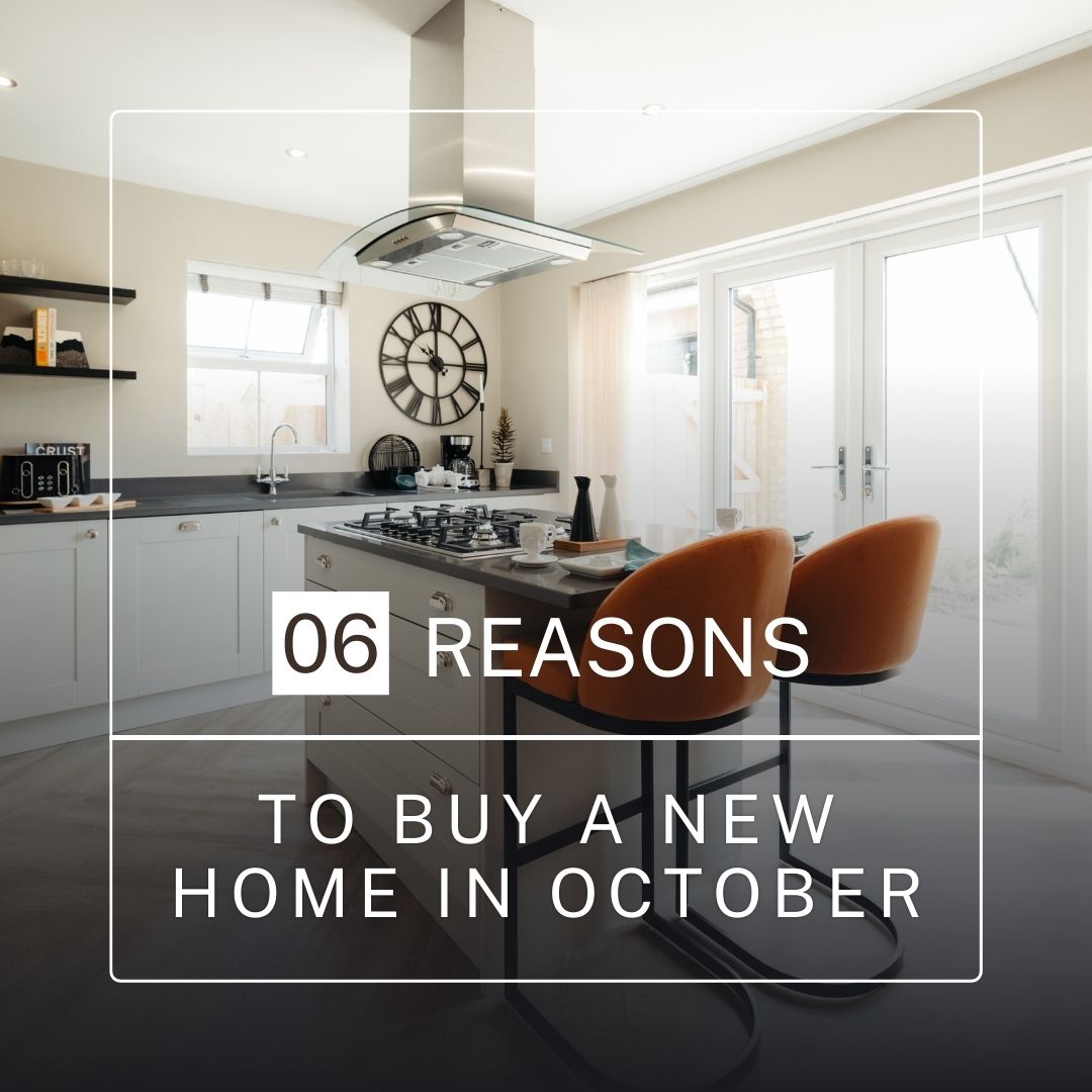 Peter Ward Homes tweet media