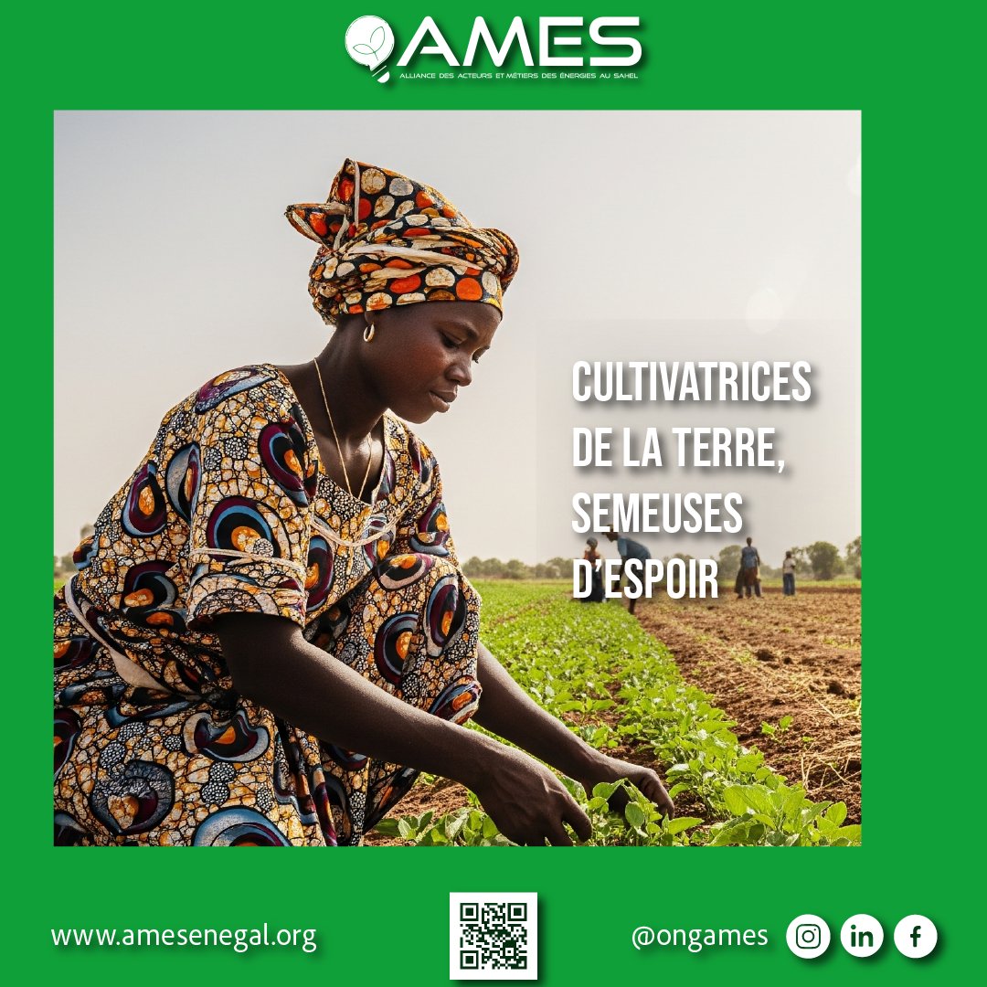 ONG AMES tweet media