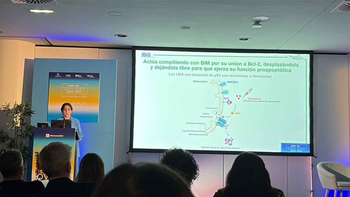HematoHUVR's tweet image. Sesión de tarde en #Hemato2025
Presentación de los trabajos en #LMA y #SMD por parte  las investigadoras Rocío Calderón y Beatriz Chiclana de @HospitalUVRocio @ibis_sevilla cuyo objetivo es la mejora de los tratamientos actuales en ambas patologías
#SomosHUVR @sehh_es