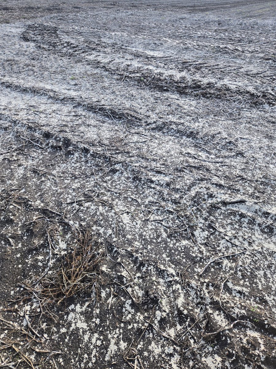 De betacal (kalk) weer netjes op de akker door <a href="/BosAgraService/">Bos Agra-Service BV</a>