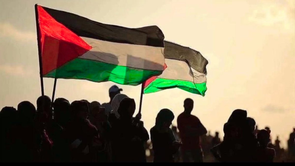 Free #Gaza; Free #Palestina
#FreeGaza #FreePalestine