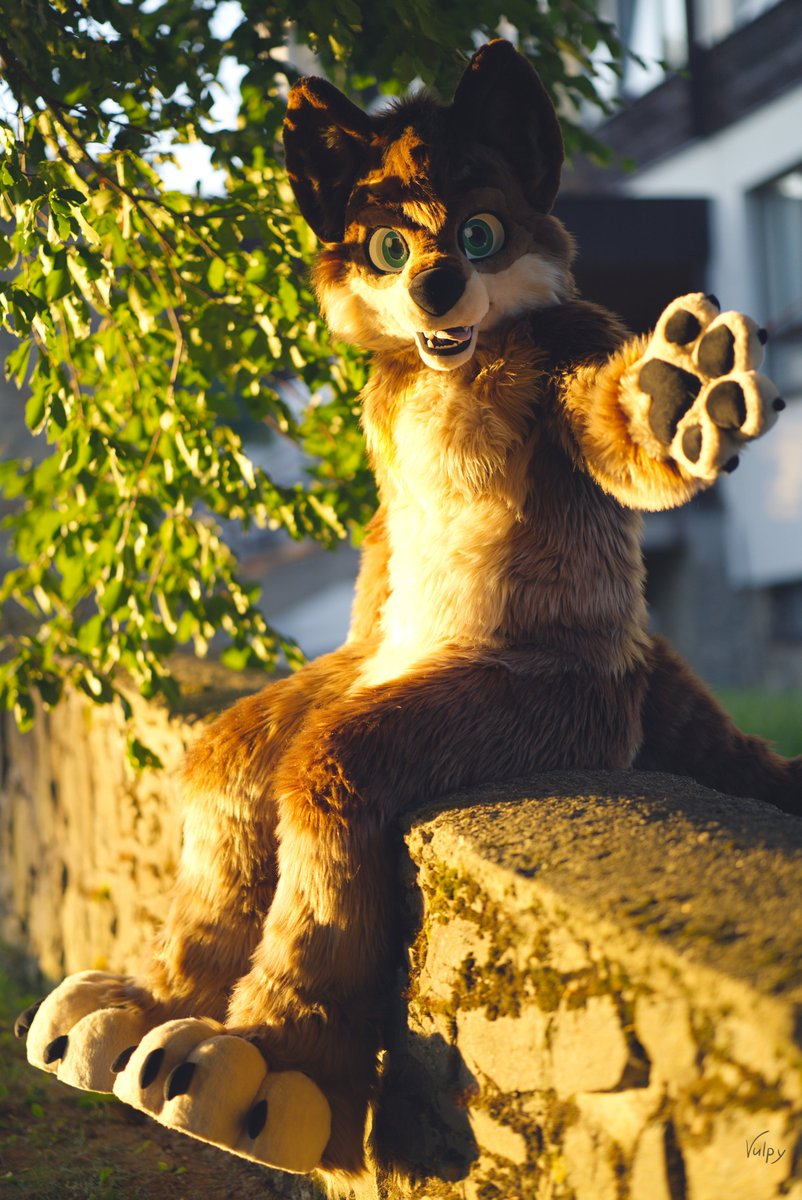 Takeru Kamachi tweet media