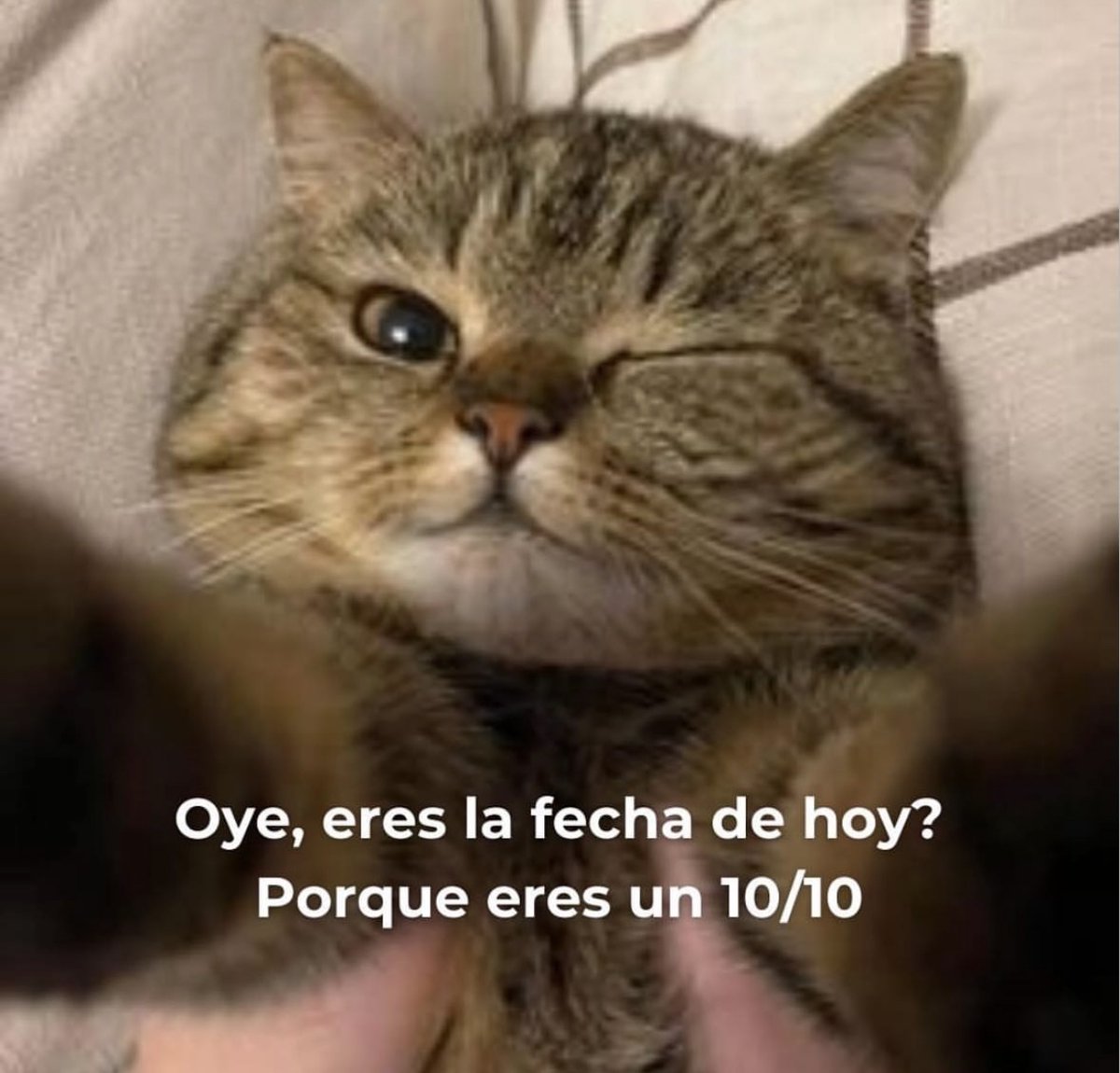 Oye.