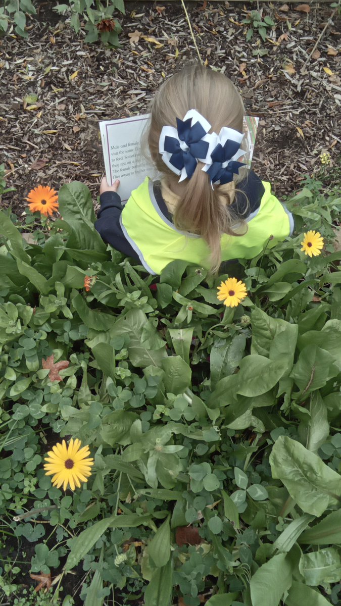 Saviour Primary School tweet media