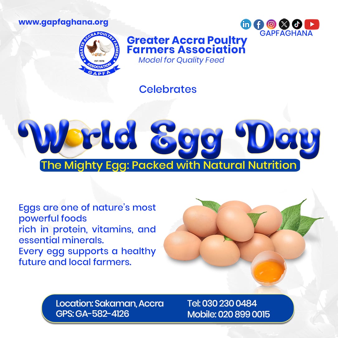 gapfa_ghana's tweet photo. Today, we joined pupils from basic schools around Dansoman to mark World Egg Day under the theme “The Mighty Egg: Packed with Natural Nutrition.”
#WorldEggDay #TheMightyEgg #GAPFA #QualityFeed #PoultryFarming https://t.co/crS4h0ZrMC