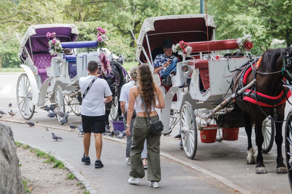 TWU deserves a cheer for fighting hard for horse-carriage drivers trib.al/2xixvO4